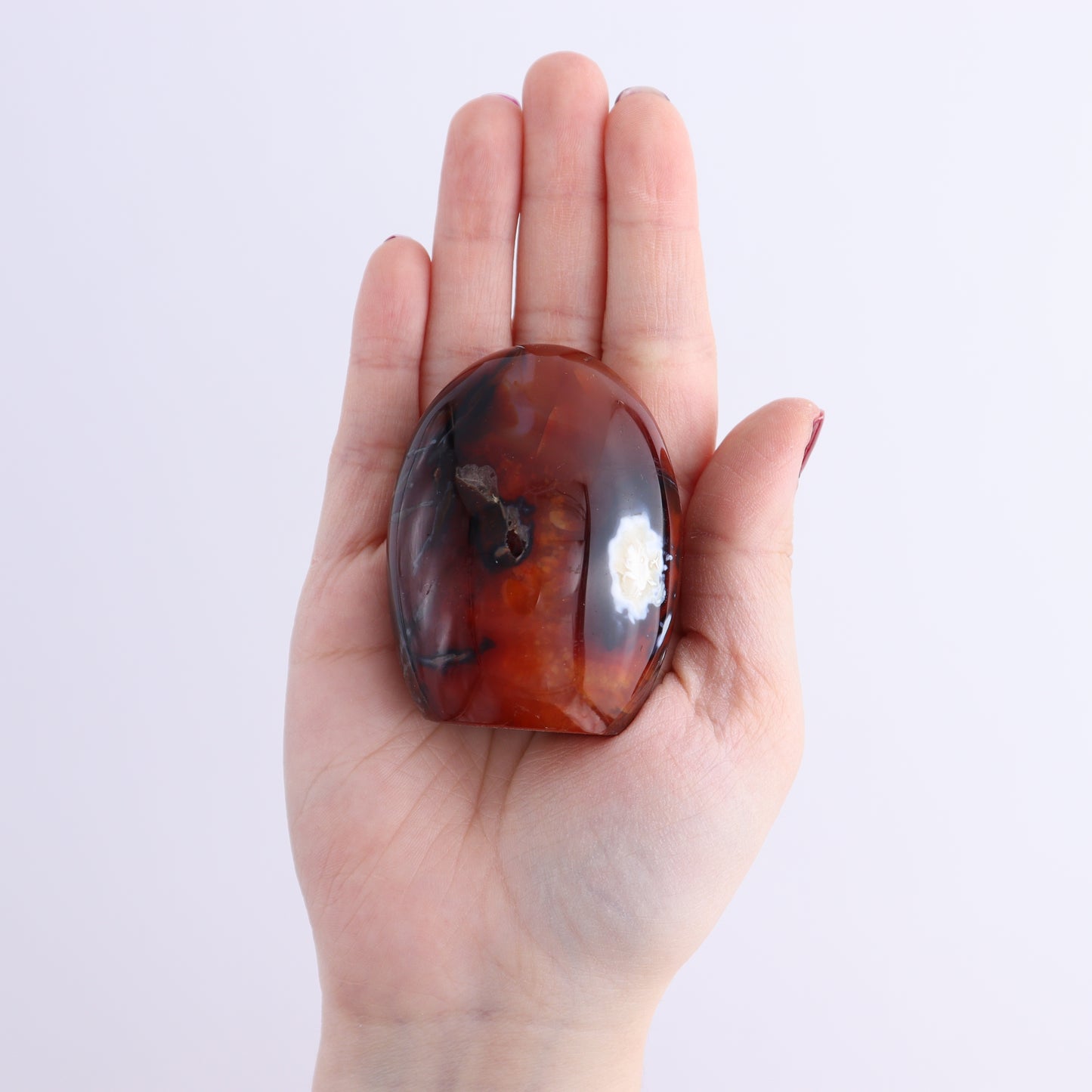 Carnelian Freeforms Set of 8 - Expert Wholesale and Supplier of Wholesale Crystals & Bulk Gemstones, ["carnelian","Freeform","Freeforms","Madagascar"]