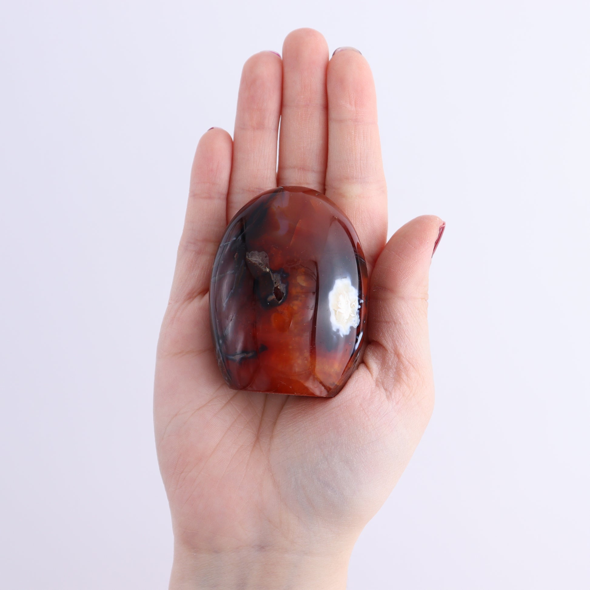 Carnelian Freeforms Set of 8 - Expert Wholesale and Supplier of Wholesale Crystals & Bulk Gemstones, ["carnelian","Freeform","Freeforms","Madagascar"]