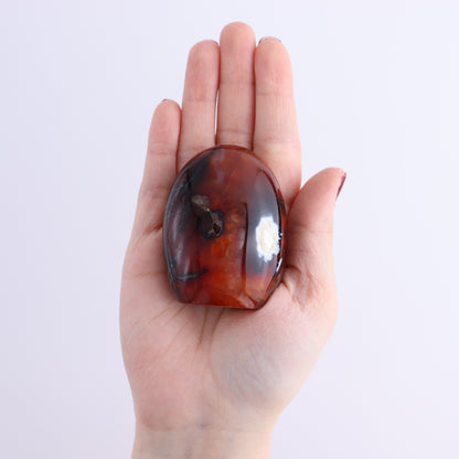 Carnelian Freeforms Set of 8 - Expert Wholesale and Supplier of Wholesale Crystals & Bulk Gemstones, ["carnelian","Freeform","Freeforms","Madagascar"]