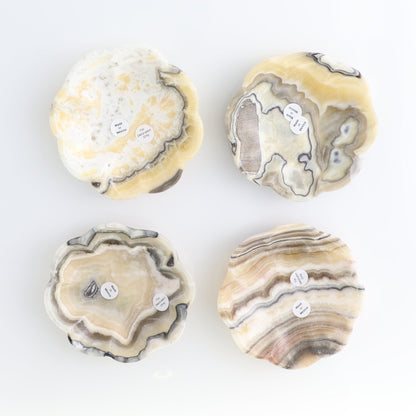 One Mexican Onyx/Calcite Yellow Zebra Scalloped Dish 10 cm