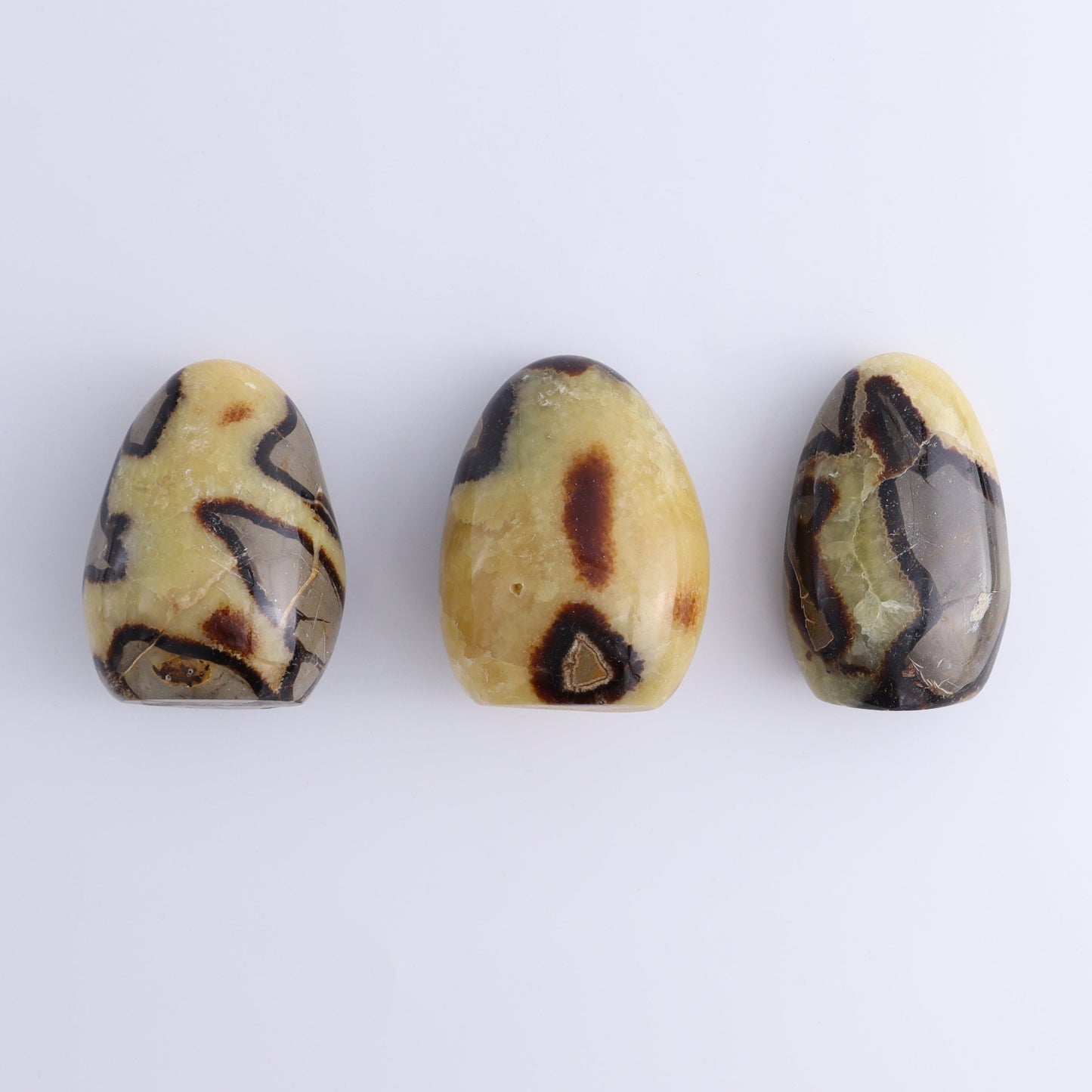 Septarian Freeforms Set of 12 - Expert Wholesale and Supplier of Wholesale Crystals & Bulk Gemstones, ["Freeforms","Madagascar","Septarian"]