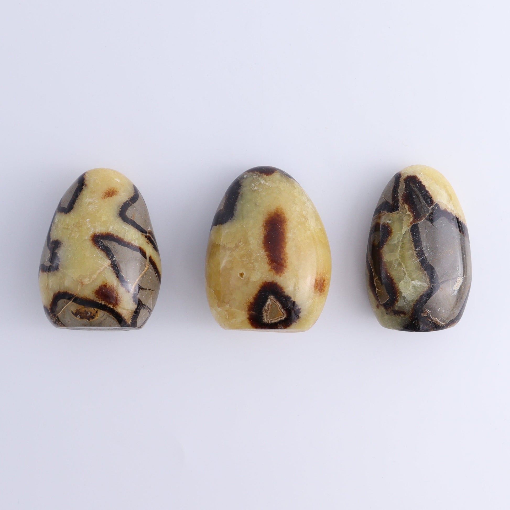 Septarian Freeforms Set of 12 - Expert Wholesale and Supplier of Wholesale Crystals & Bulk Gemstones, ["Freeforms","Madagascar","Septarian"]