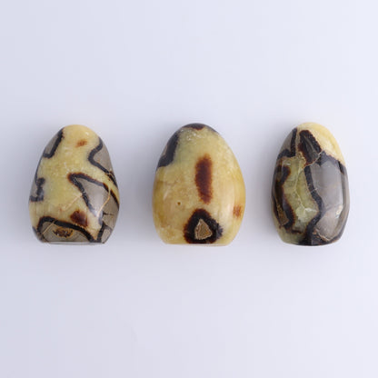 Septarian Freeforms Set of 12 - Expert Wholesale and Supplier of Wholesale Crystals & Bulk Gemstones, ["Freeforms","Madagascar","Septarian"]