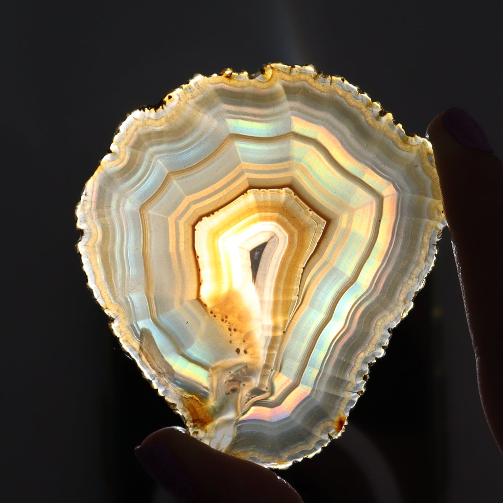 Iris Agate Slices Set of 6 - Expert Wholesale and Supplier of Wholesale Crystals & Bulk Gemstones, ["Agate","Iris Agate","Slices and Slabs"]