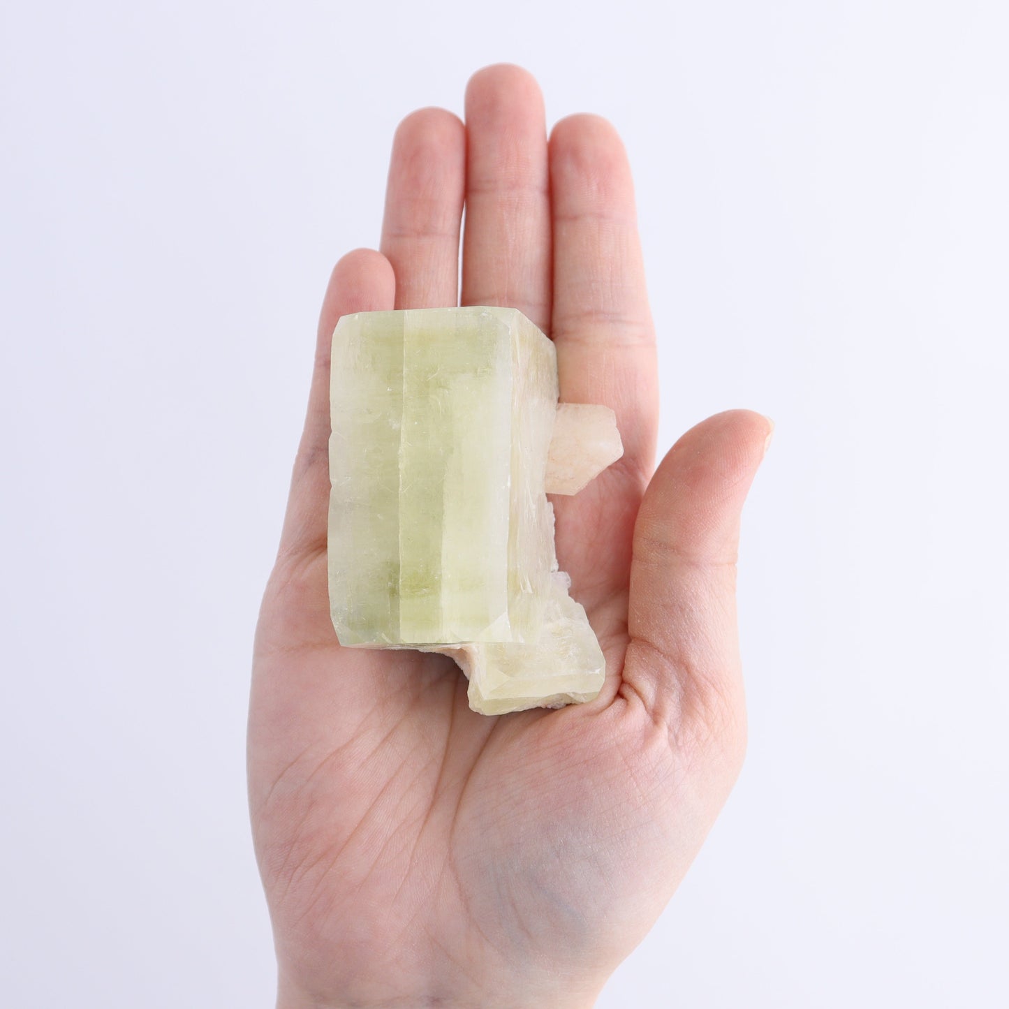 Apophyllite Clusters Flat of 6 - Expert Wholesale and Supplier of Wholesale Crystals & Bulk Gemstones, ["Apophyllite","Clusters","Flats"]