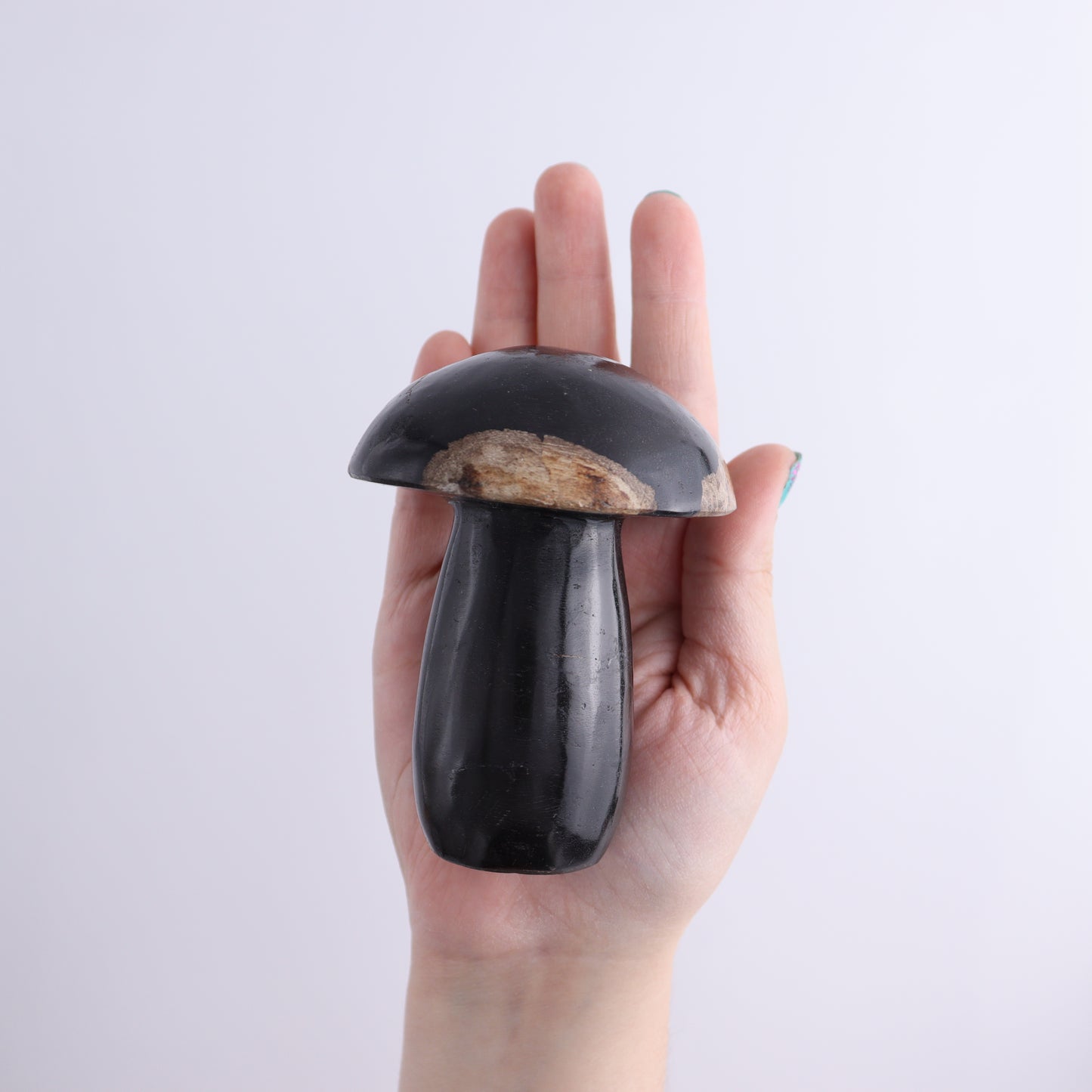 Petrified Wood Mushrooms Set of 4 - Expert Wholesale and Supplier of Wholesale Crystals & Bulk Gemstones, ["Indonesia","Mushrooms","Petrified Wood"]