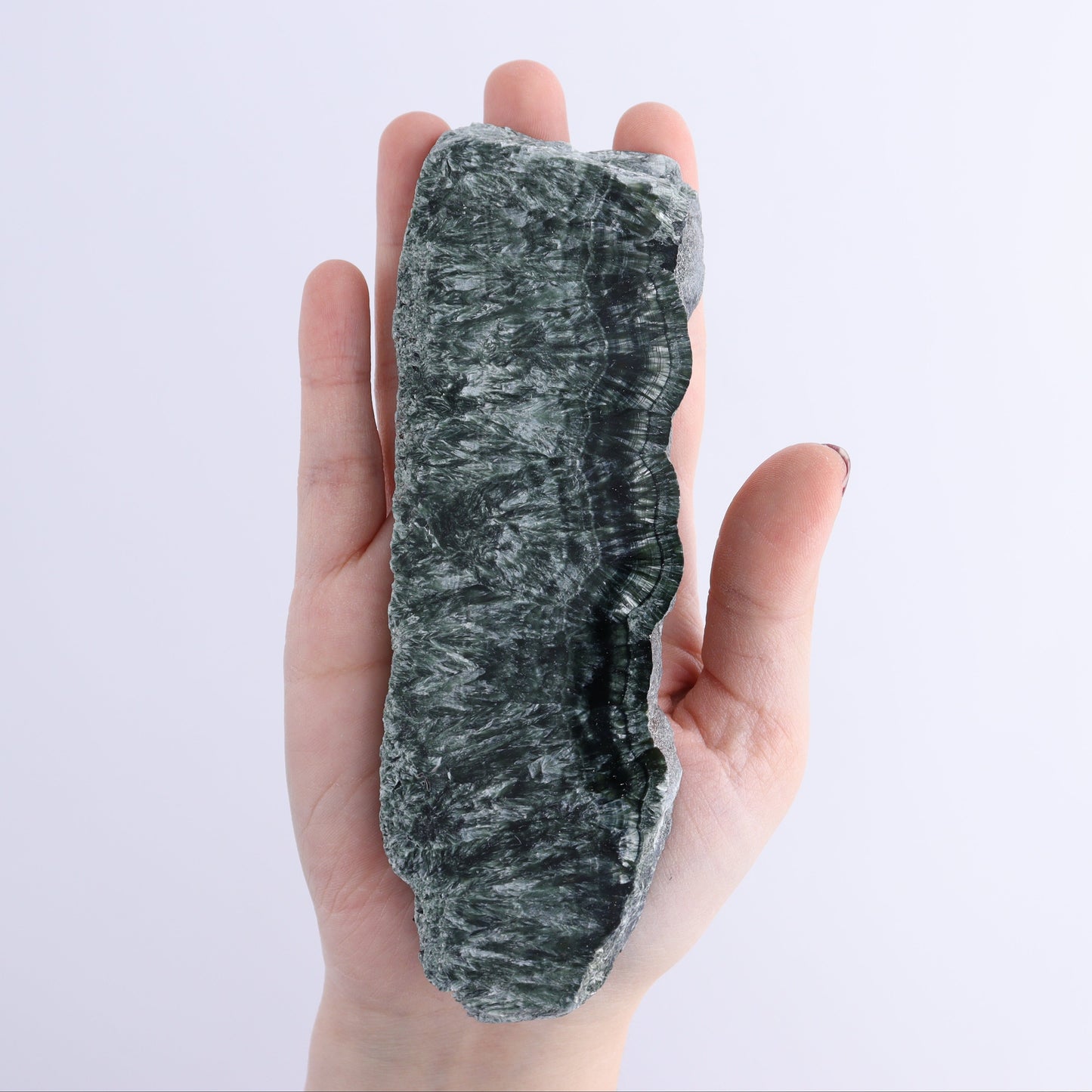Seraphinite Slices Set of 4 - Expert Wholesale and Supplier of Wholesale Crystals & Bulk Gemstones, ["Russia","Seraphinite","Slices and Slabs"]