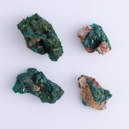 Dioptase Set of 12 - Expert Wholesale and Supplier of Wholesale Crystals & Bulk Gemstones, ["dioptase","Freeform","Freeforms"]