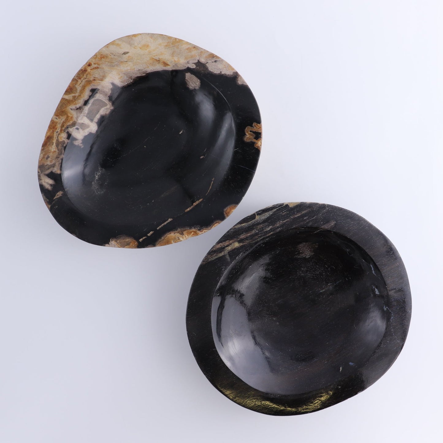 One Petrified Wood Black Polished Bowl