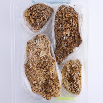 Selenite Gypsum from Morocco Flat - Expert Wholesale and Supplier of Wholesale Crystals & Bulk Gemstones, ["Clusters","Flats","Morocco","selenite","Selenite Gypsum"]