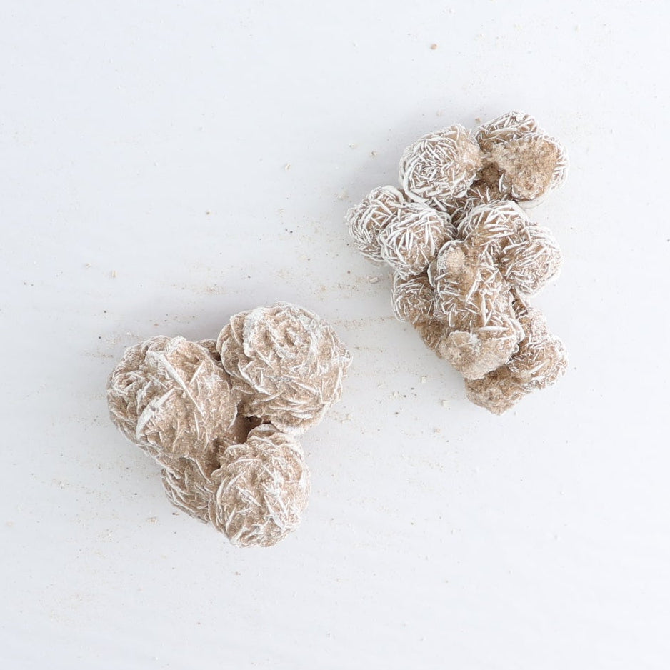 Desert Rose Set of 4