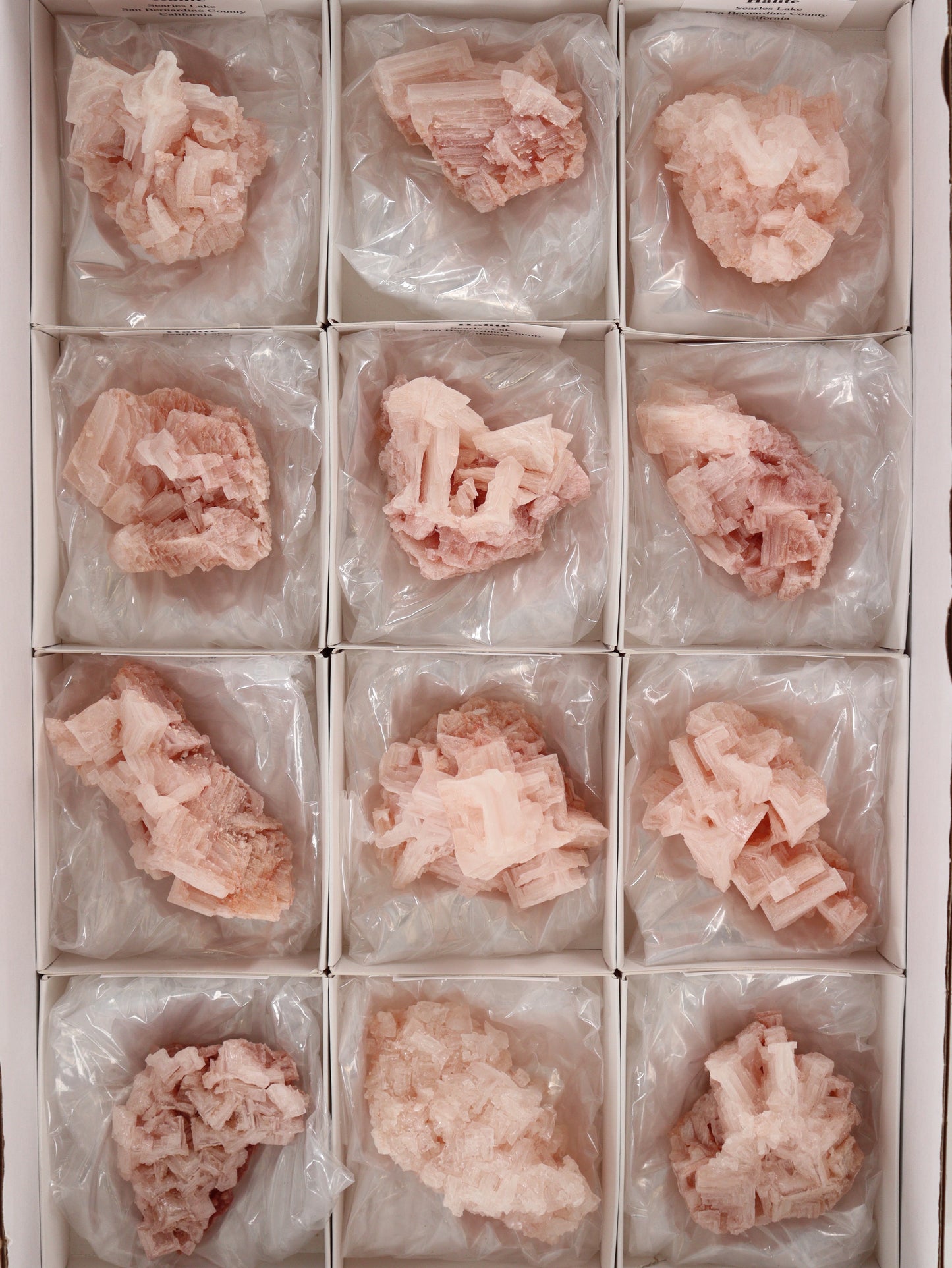Halite Flat Set of 12 - Expert Wholesale and Supplier of Wholesale Crystals & Bulk Gemstones, ["close_30"]