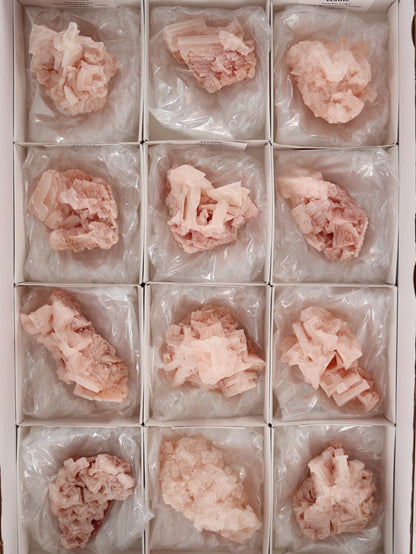 Halite Flat Set of 12 - Expert Wholesale and Supplier of Wholesale Crystals & Bulk Gemstones, ["close_30"]