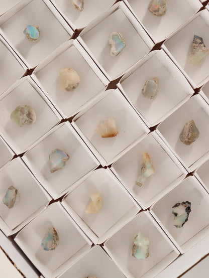 Ethiopian Opal Flat Set of 54 - Expert Wholesale and Supplier of Wholesale Crystals & Bulk Gemstones, []