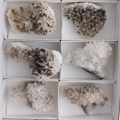 UV Reactive Calcite Flat Set of 8 - Expert Wholesale and Supplier of Wholesale Crystals & Bulk Gemstones, ["Calcite","Freeform","Freeforms","Mexico"]