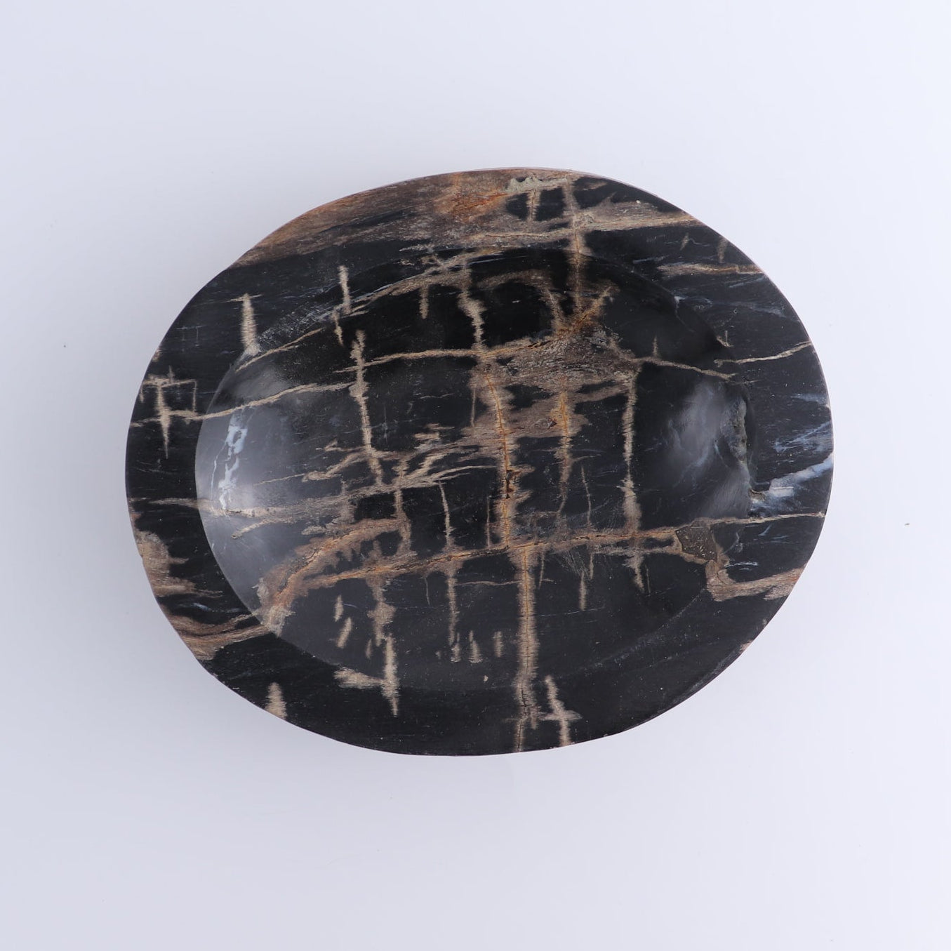 One Petrified Wood Black Polished Bowl