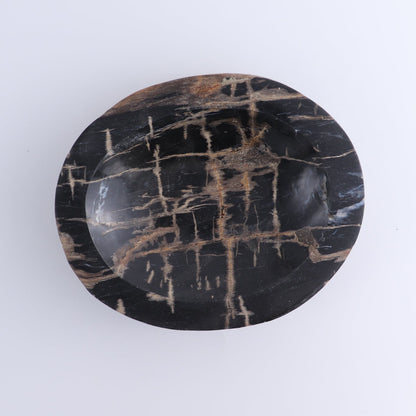 One Petrified Wood Black Polished Bowl
