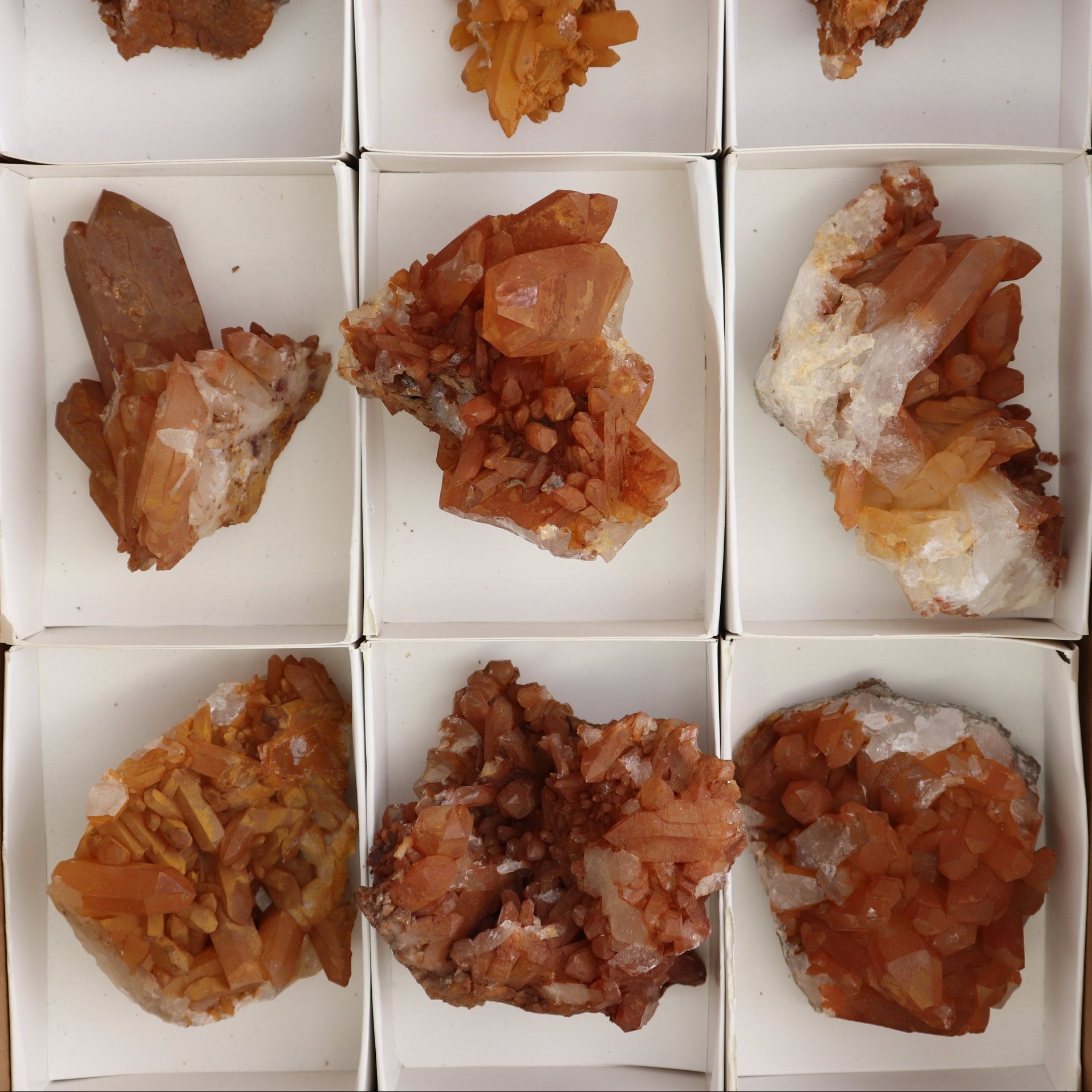 Dark Tangerine Quartz Clusters Set of 9 - Expert Wholesale and Supplier of Wholesale Crystals & Bulk Gemstones, ["Clusters","Quartz","Tangerine Quartz"]