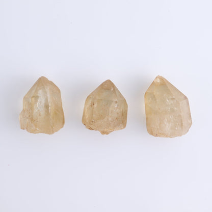 Citrine Roughs Set of 7