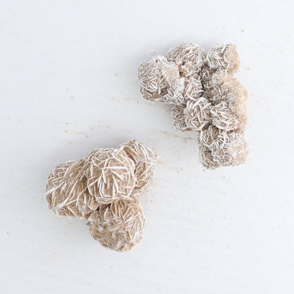 Desert Rose Set of 4