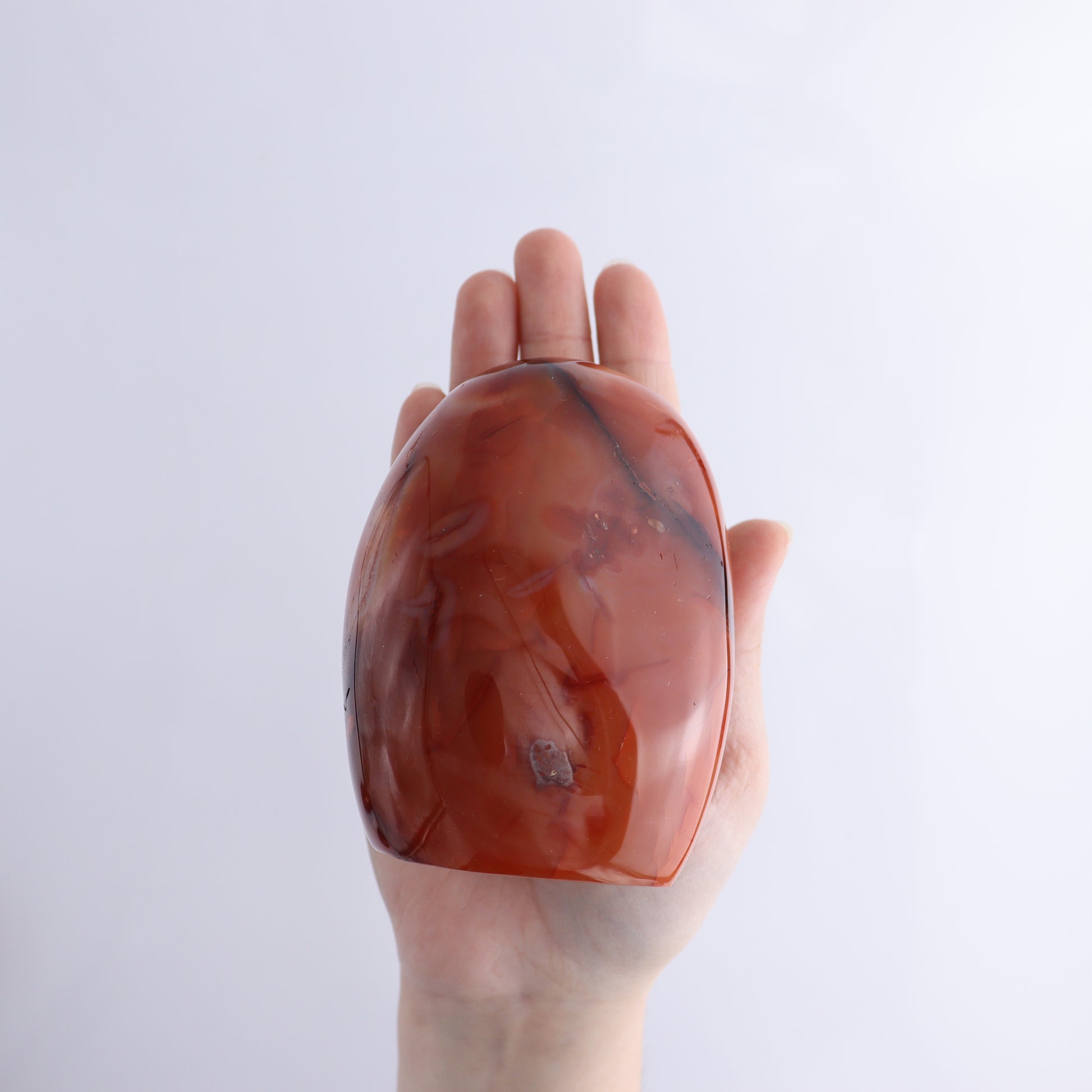 Carnelian Freeform Set of 10 - Expert Wholesale and Supplier of Wholesale Crystals & Bulk Gemstones, ["carnelian","Freeforms","Madagascar"]