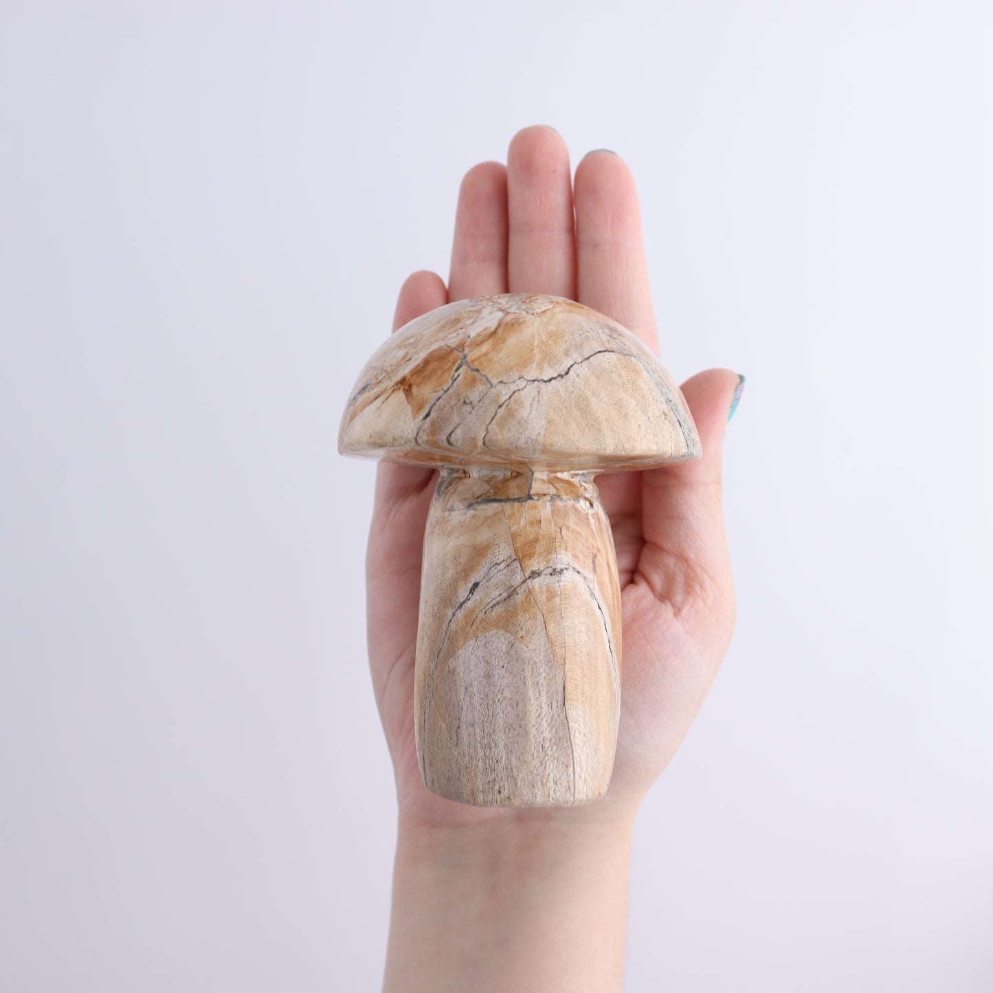 Petrified Wood Mushrooms Set of 4 - Expert Wholesale and Supplier of Wholesale Crystals & Bulk Gemstones, ["Indonesia","Mushrooms","Petrified Wood"]