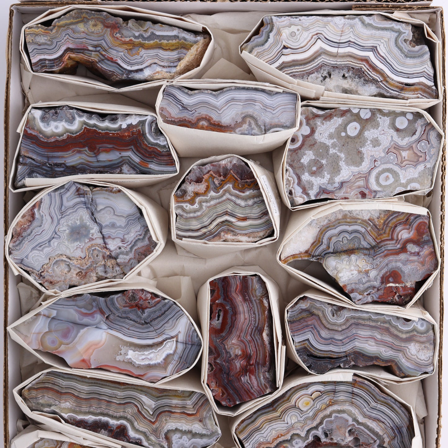 Crazy Lace Agate Flat of 15 - Expert Wholesale and Supplier of Wholesale Crystals & Bulk Gemstones, ["Crazy Lace Agate","Mexico"]