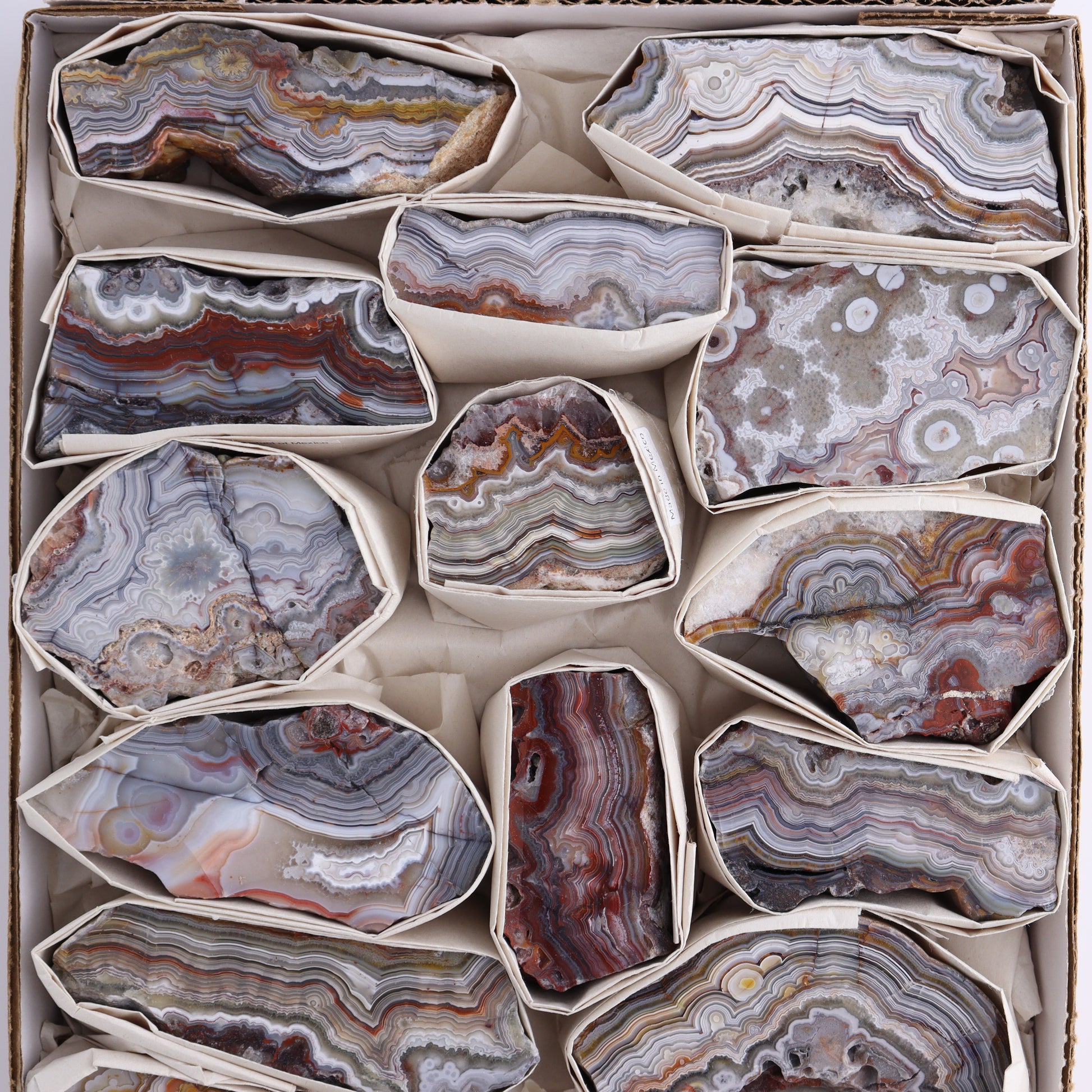 Crazy Lace Agate Flat of 15 - Expert Wholesale and Supplier of Wholesale Crystals & Bulk Gemstones, ["Crazy Lace Agate","Mexico"]
