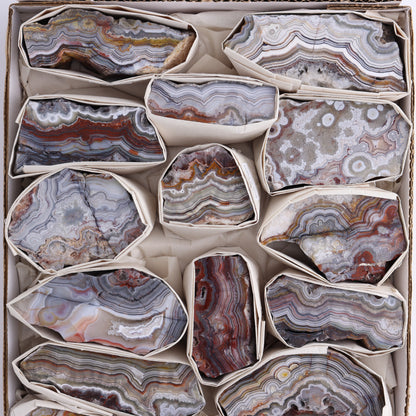 Crazy Lace Agate Flat of 15 - Expert Wholesale and Supplier of Wholesale Crystals & Bulk Gemstones, ["Crazy Lace Agate","Mexico"]