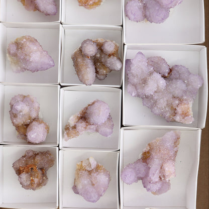 Cactus Quartz Set of 11