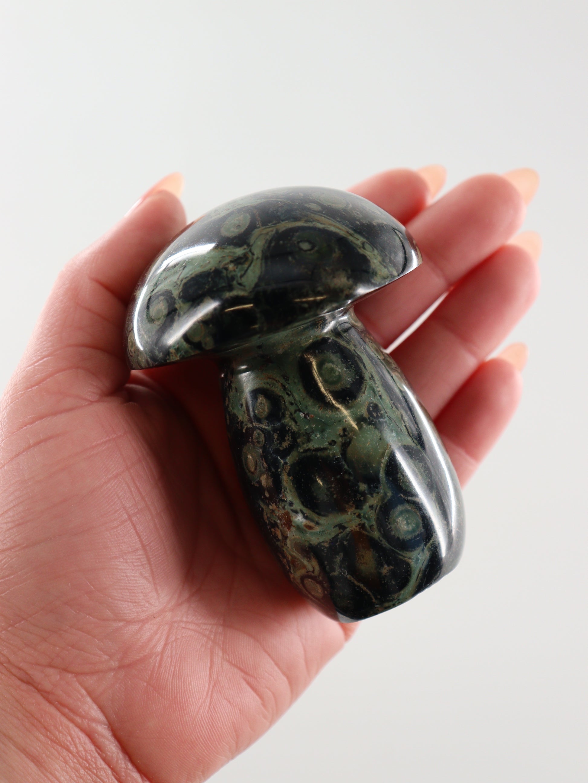 Kambaba Jasper Set of 8 - Expert Wholesale and Supplier of Wholesale Crystals & Bulk Gemstones, []