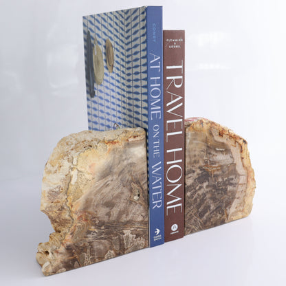 Bookends Petrified Wood - Expert Wholesale and Supplier of Wholesale Crystals & Bulk Gemstones, ["Bookends","Indonesia","Petrified Wood"]