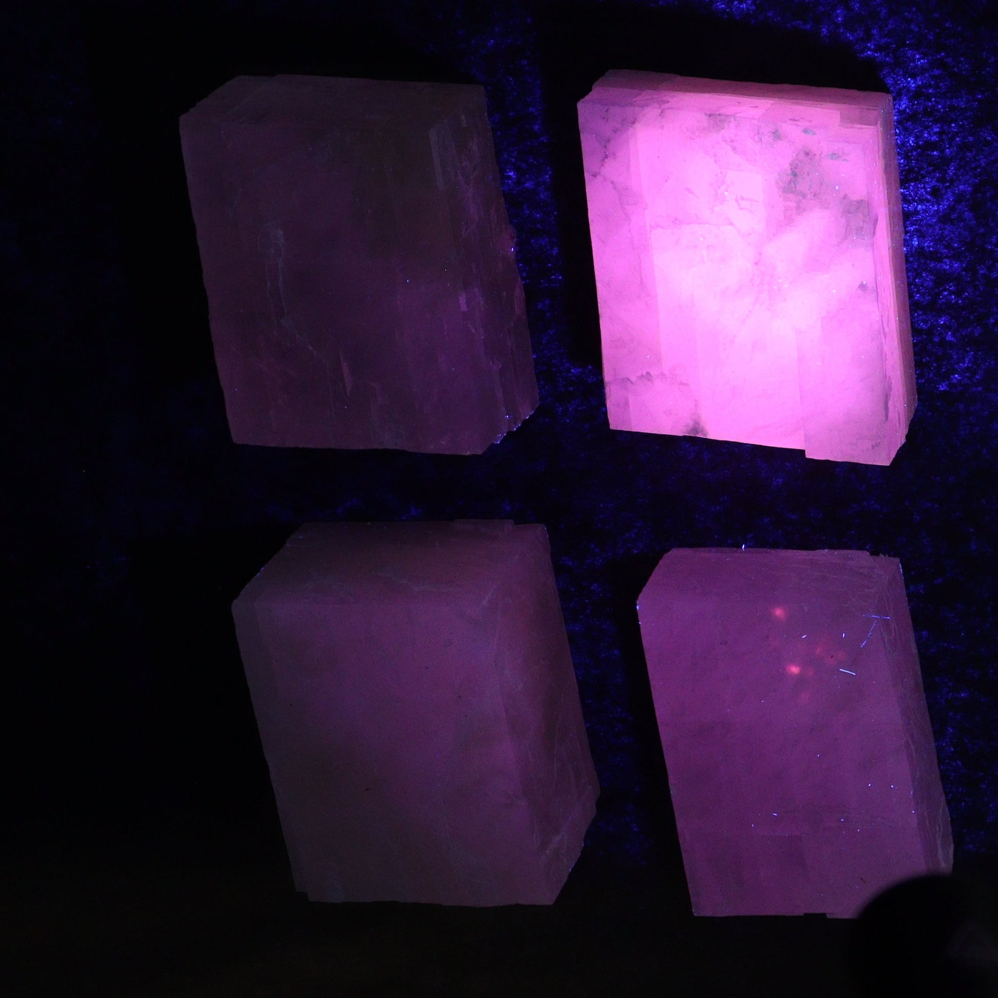 Pink Optical Calcite (Fluorescent) Set of 24 - Expert Wholesale and Supplier of Wholesale Crystals & Bulk Gemstones, ["Calcite","Mexico","Optical Calcite"]