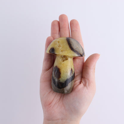 Septarian Mushrooms Set of 6 - Expert Wholesale and Supplier of Wholesale Crystals & Bulk Gemstones, ["Mushrooms","Septarian"]