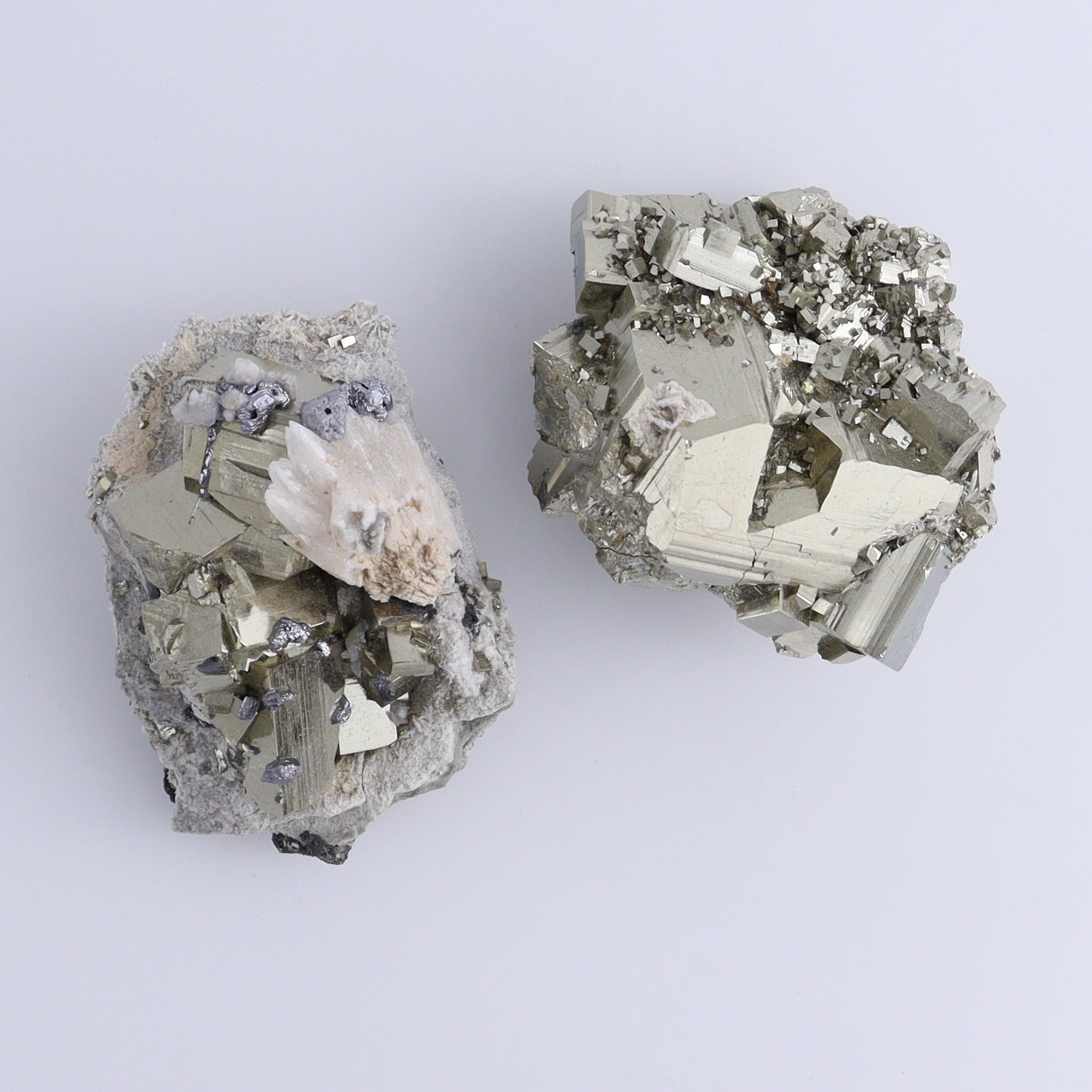 Pyrite Flat of 12 - Expert Wholesale and Supplier of Wholesale Crystals & Bulk Gemstones, ["flat","Flats","Pyrite"]