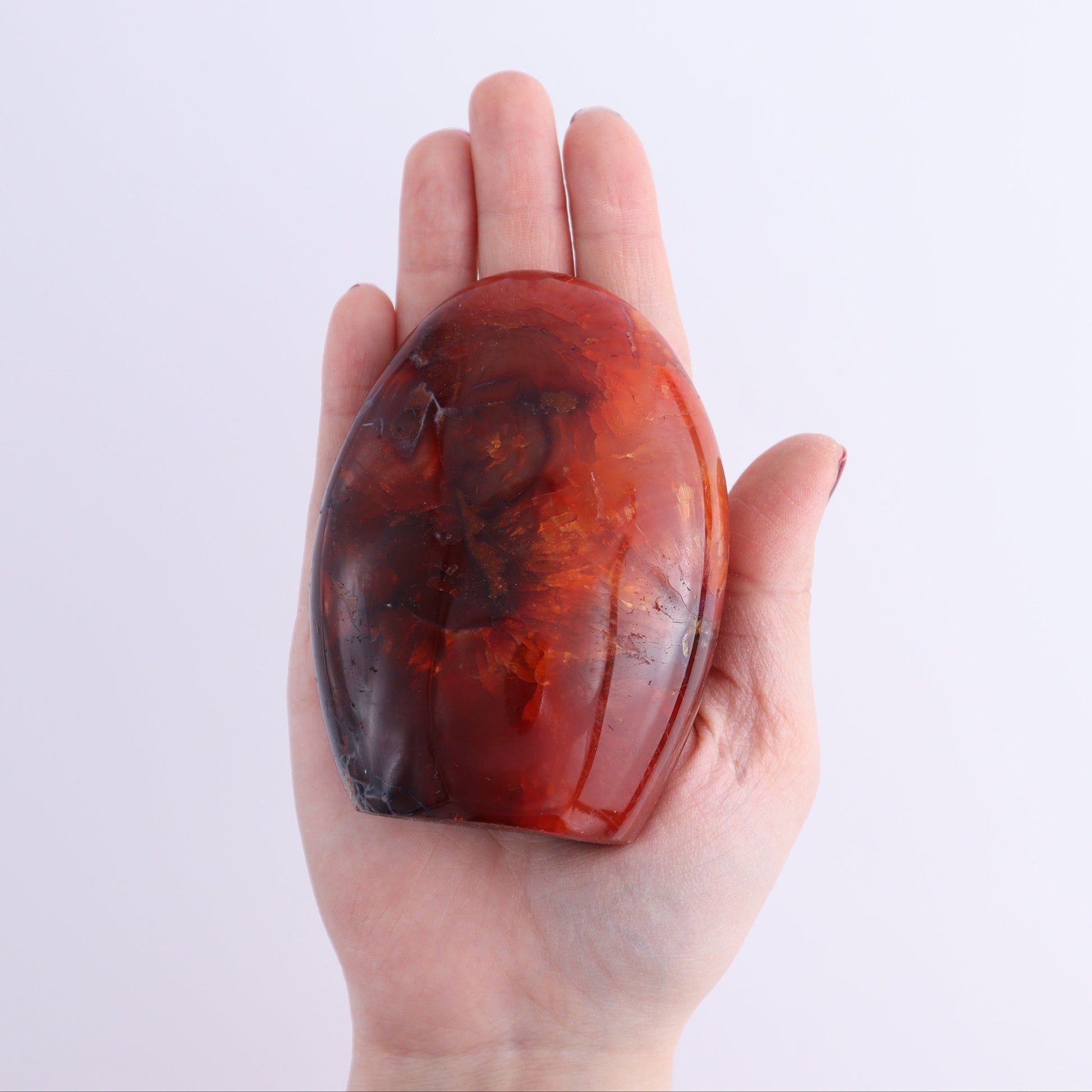 Carnelian Freeforms Set of 8 - Expert Wholesale and Supplier of Wholesale Crystals & Bulk Gemstones, ["carnelian","Freeform","Freeforms","Madagascar"]