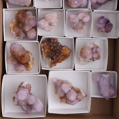 Cactus Quartz Set of 14 - Expert Wholesale and Supplier of Wholesale Crystals & Bulk Gemstones, ["cactus quartz","Quartz","South Africa"]