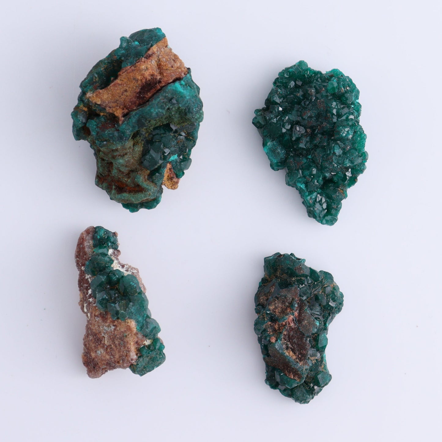 Dioptase Set of 12 - Expert Wholesale and Supplier of Wholesale Crystals & Bulk Gemstones, ["dioptase","Freeform","Freeforms"]