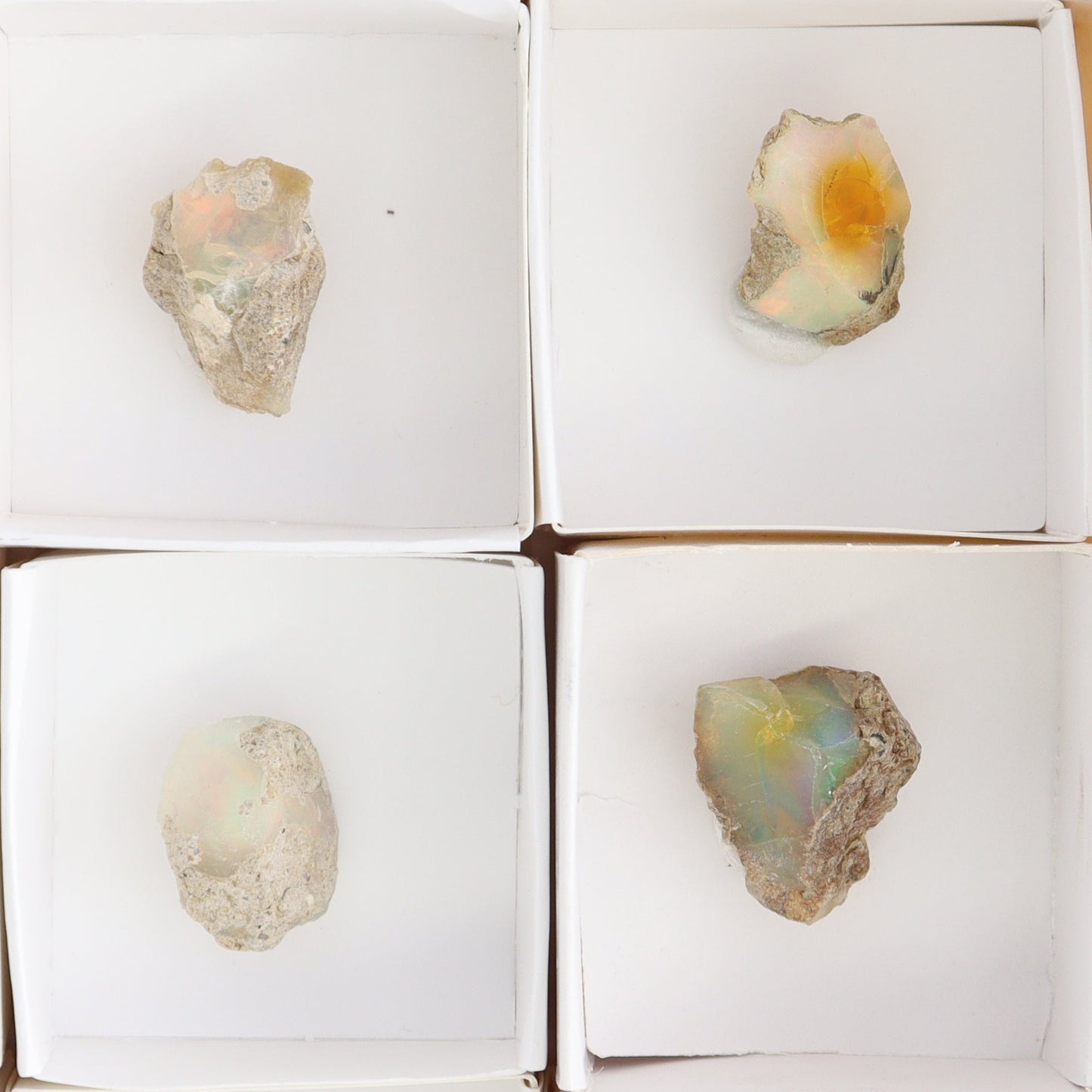 Ethiopian Opal Set of 11 - Expert Wholesale and Supplier of Wholesale Crystals & Bulk Gemstones, ["Ethiopia","ethiopian opal","Opal"]