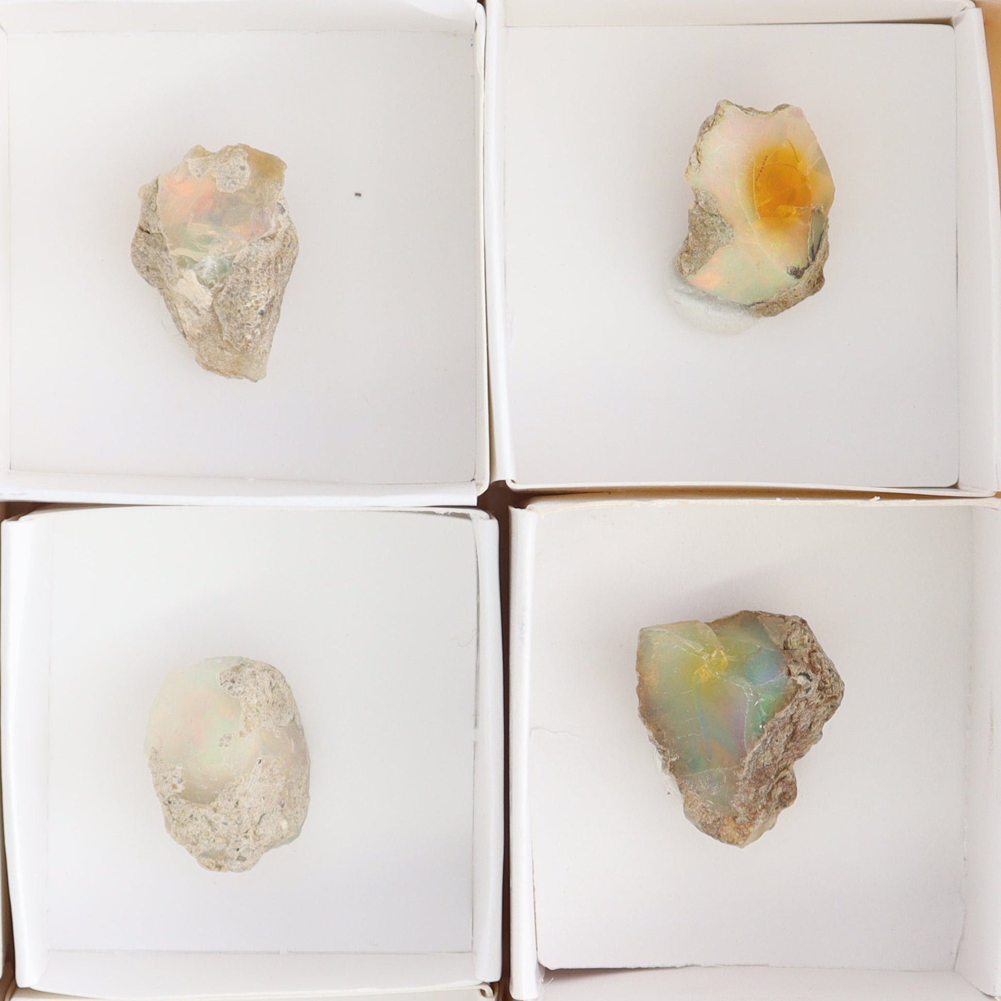 Ethiopian Opal Set of 11 - Expert Wholesale and Supplier of Wholesale Crystals & Bulk Gemstones, ["Ethiopia","ethiopian opal","Opal"]