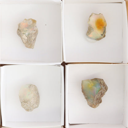 Ethiopian Opal Set of 11 - Expert Wholesale and Supplier of Wholesale Crystals & Bulk Gemstones, ["Ethiopia","ethiopian opal","Opal"]