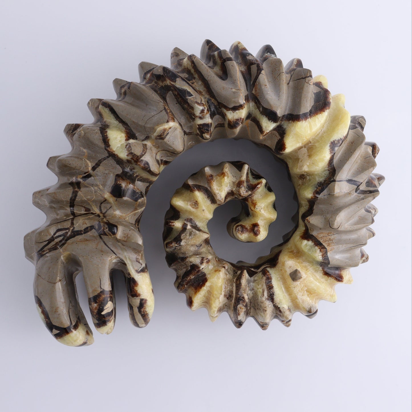 Septarian Mixed Carving - Expert Wholesale and Supplier of Wholesale Crystals & Bulk Gemstones, ["Madagascar","Septarian"]