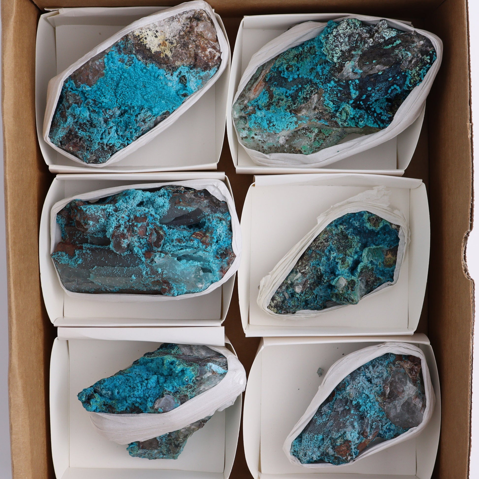 Chrysocolla with Quartz Roughs Set of 6 - Expert Wholesale and Supplier of Wholesale Crystals & Bulk Gemstones, ["Chrysocolla","Flats","Freeforms","Peru","Rough"]