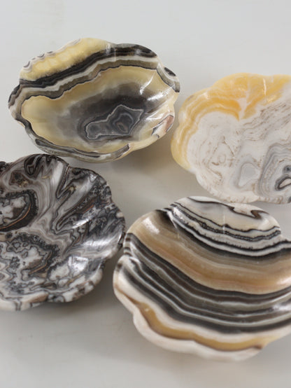 Zebra Onyx Flower Dishes Set of 8