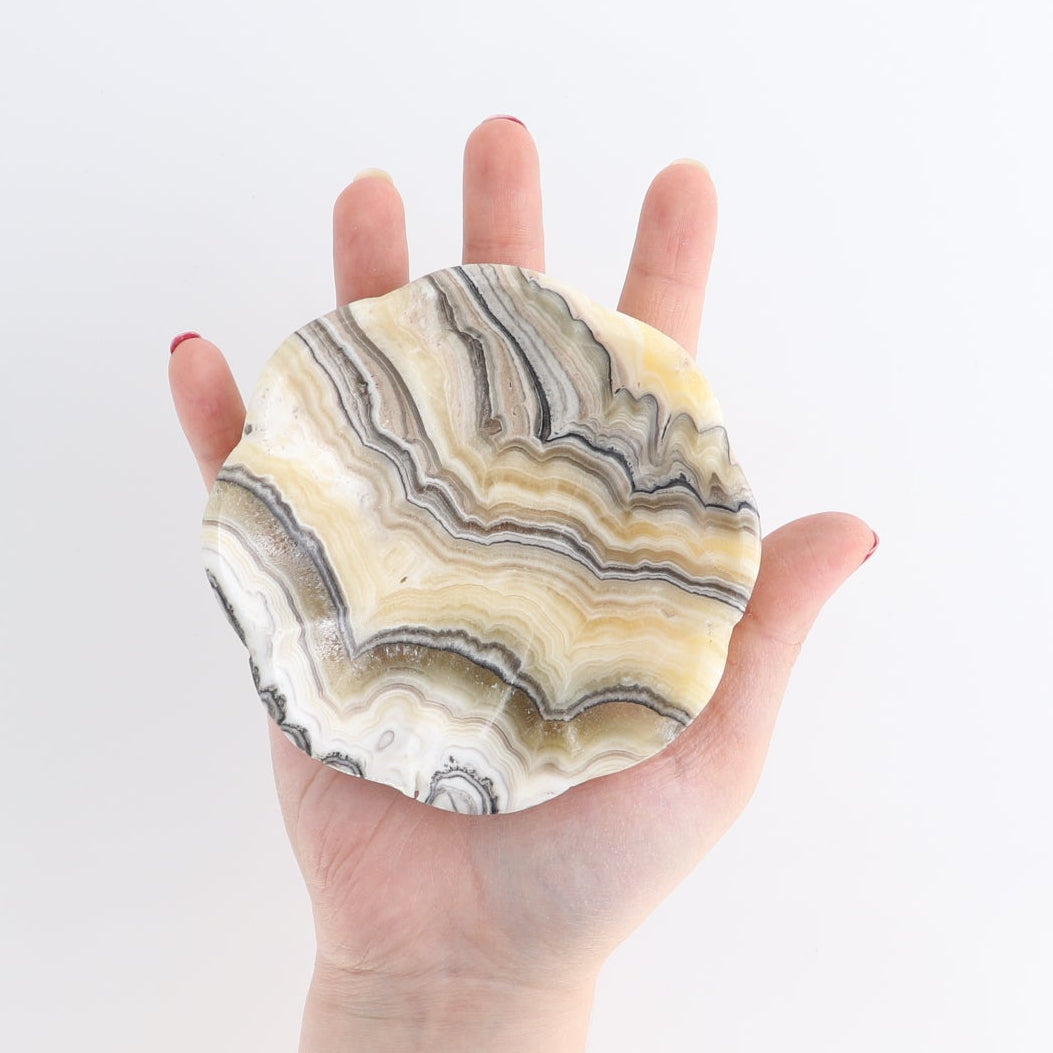 One Mexican Onyx/Calcite Yellow Zebra Scalloped Dish 10 cm