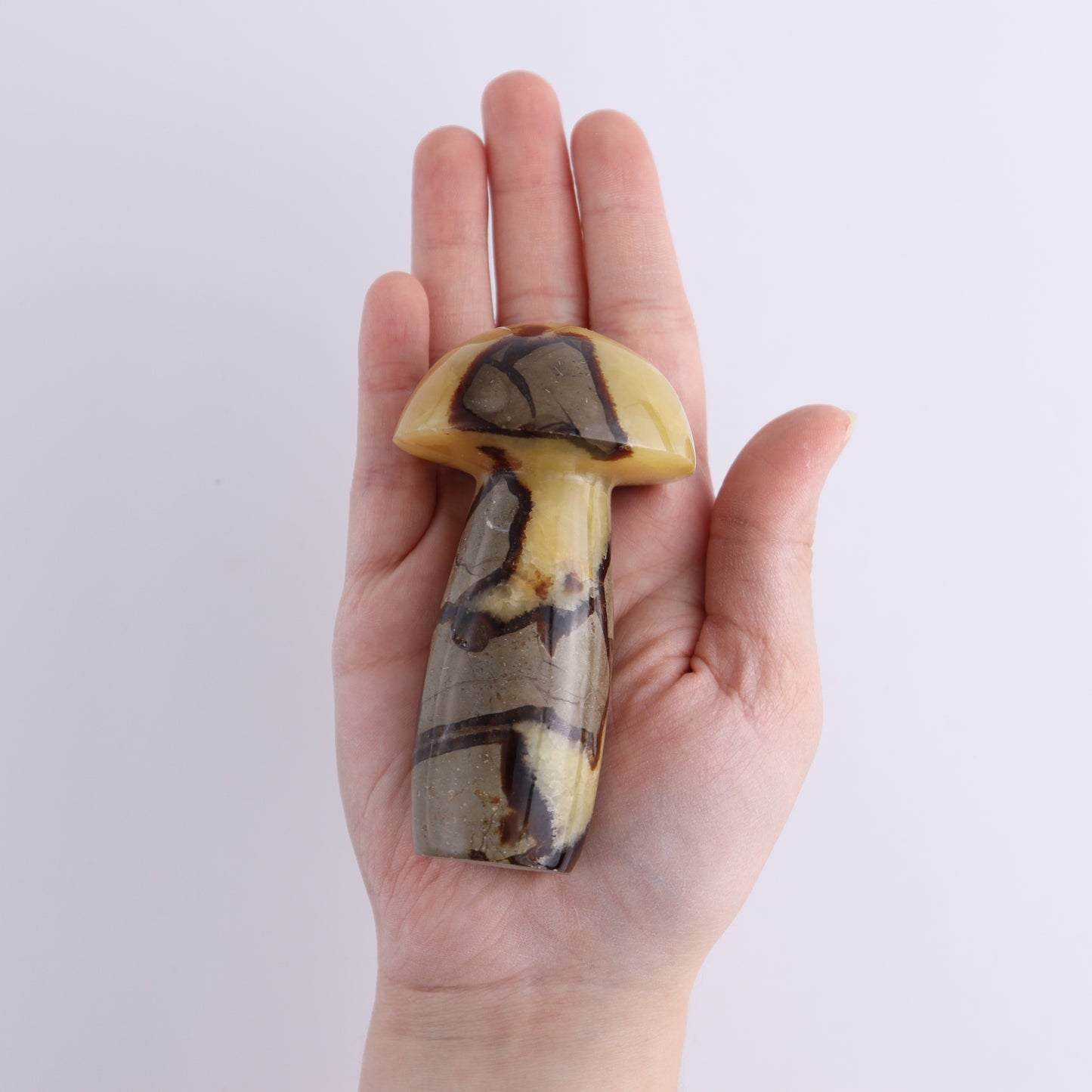 Septarian Mushrooms Set of 6 - Expert Wholesale and Supplier of Wholesale Crystals & Bulk Gemstones, ["Mushrooms","Septarian"]