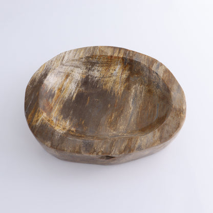 Bowl Petrified Wood - Expert Wholesale and Supplier of Wholesale Crystals & Bulk Gemstones, ["Bowls","Indonesia","Petrified Wood"]