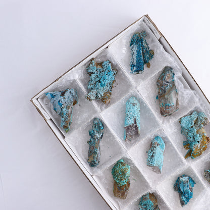 Chrysocolla on Quartz Roughs Set of 12 - Expert Wholesale and Supplier of Wholesale Crystals & Bulk Gemstones, ["Chrysocolla","Flats","Freeforms","Peru","Quartz","Rough"]