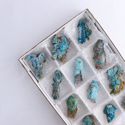 Chrysocolla on Quartz Roughs Set of 12