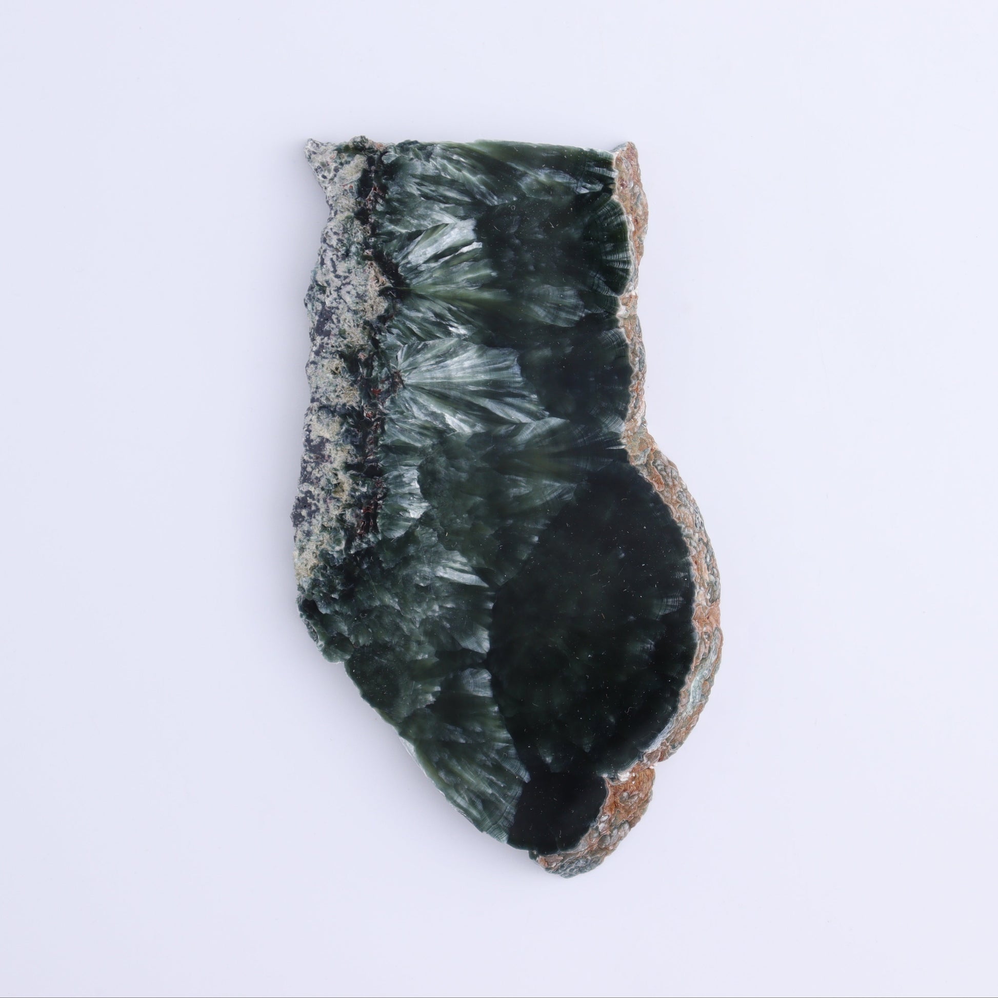 Seraphinite Slices Set of 4 - Expert Wholesale and Supplier of Wholesale Crystals & Bulk Gemstones, ["Russia","Seraphinite","Slices and Slabs"]